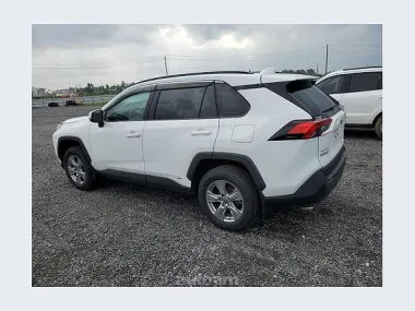Toyota Rav 4 2023 — миниатюра 2