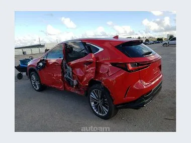 Lexus NX 300h 2022 — миниатюра 2