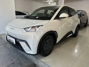 BYD Seagull Vitality 2025 — фото 1, купить с доставкой в Москву
