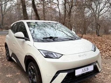 BYD Seagull 2025 — фото 1, купить с доставкой в Москву
