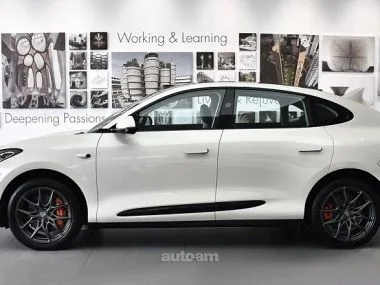 IM Motors LS 6 2024 — фото 1, купить с доставкой в Москву