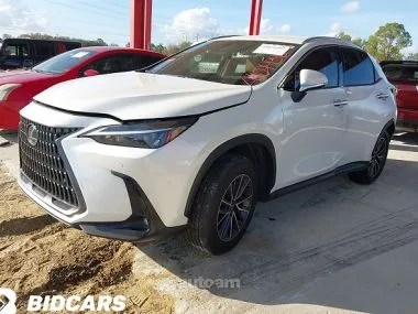 Lexus NX 200 NX 250 BASE 2025 — миниатюра 2