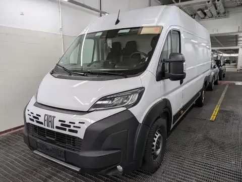 Fiat Ducato Kasten 35 L4H2 180 Multijet Maxi *KAMERA 2024 — фото 1, купить с доставкой в Москву