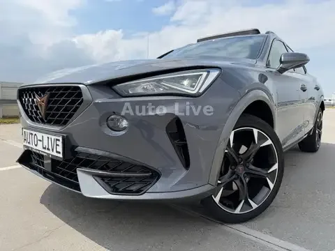 Cupra Formentor 2.0 TDI*4M*AUTO*PAN*VIR*LED*KAMERA*VOL 2023 — фото 1, купить с доставкой в Москву