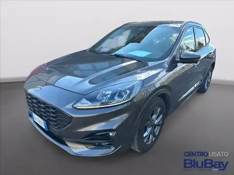 Ford Kuga 2023 buy in Moscow