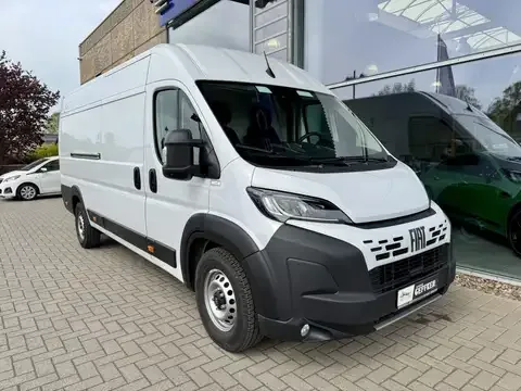 Fiat Ducato L4H2 Maxi, Kamera, Tempomat! Bluetooth LED 2024 — фото 1, купить с доставкой в Москву