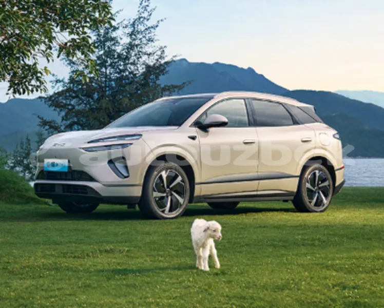 BYD S6 2025 — фото 1, купить с доставкой в Москву