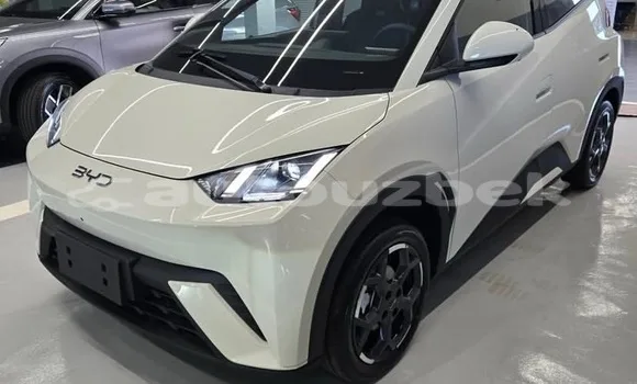 BYD S6 2026 — миниатюра 4
