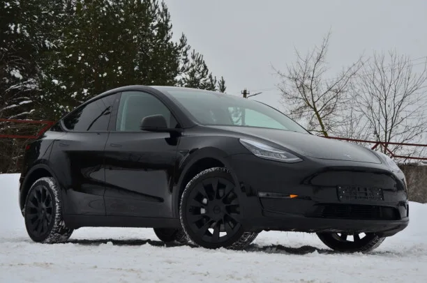 Tesla Model Y 2022 — миниатюра 2