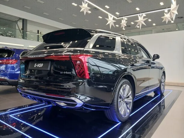 Hongqi E-HS9 2023 — миниатюра 2