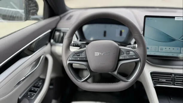 BYD Song PLUS EV 2025 — миниатюра 4