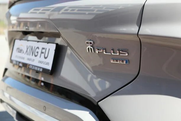 BYD Song PLUS EV 2025 — миниатюра 3