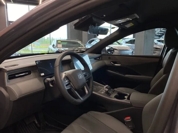 BYD Qin PLUS EV 2025 — миниатюра 3
