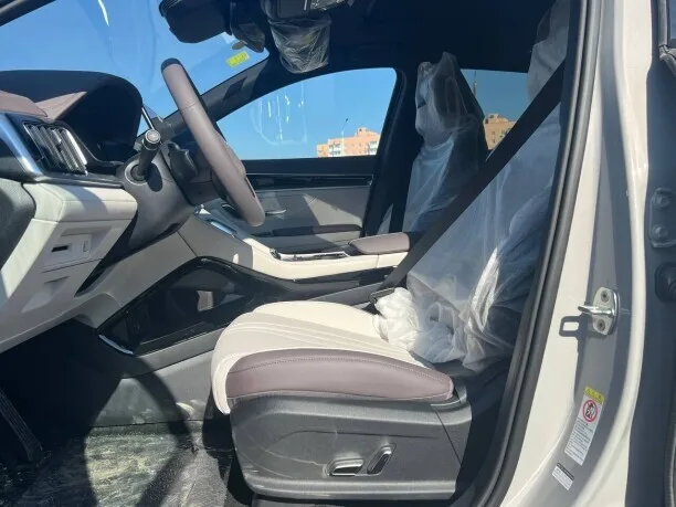 BYD Song PLUS EV 2025 — миниатюра 5