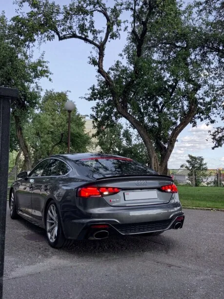 Audi RS5 2022 — миниатюра 2