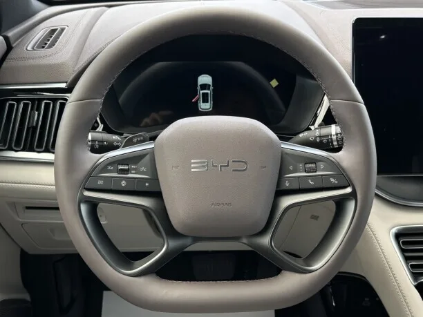 BYD Song PLUS EV 2025 — миниатюра 3