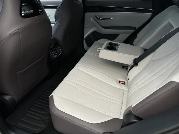 BYD Song PLUS EV 2025 — миниатюра 5