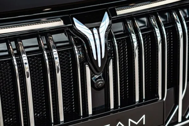 Voyah Dream 2025 — миниатюра 2
