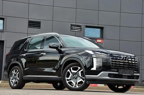 Hyundai Palisade 2022 — миниатюра 4