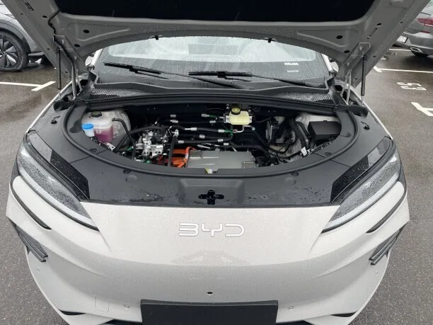 BYD Song PLUS EV 2025 — миниатюра 2