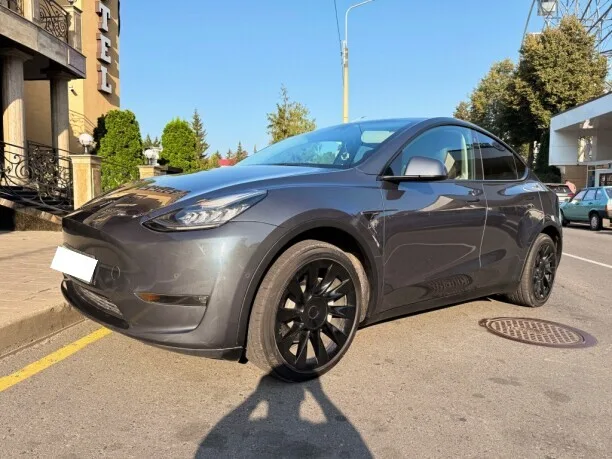 Tesla Model Y 2022 — миниатюра 2