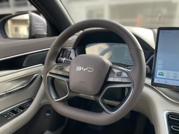 BYD Song PLUS EV 2025 — миниатюра 3