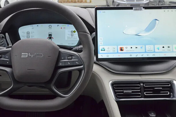 BYD Song PLUS EV 2025 — миниатюра 3