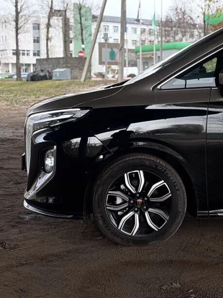 Hongqi HQ9 2022 — миниатюра 5