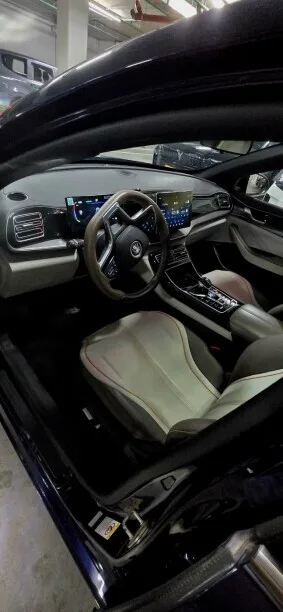 BYD Qin PLUS EV 2023 — миниатюра 3