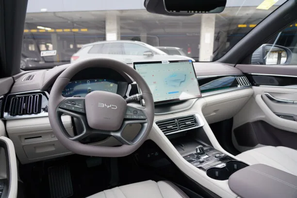 BYD Song PLUS EV 2025 — миниатюра 5
