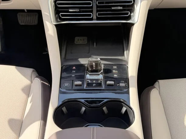 BYD Song PLUS EV 2025 — миниатюра 5