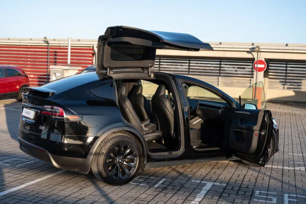 Tesla Model X 2022 — миниатюра 3