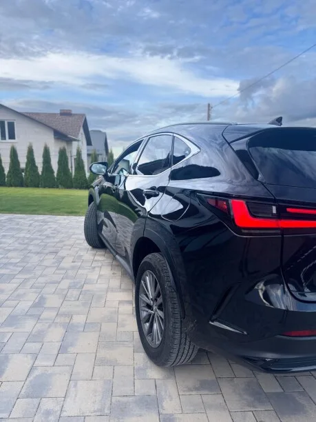 Lexus NX 2022 — миниатюра 2