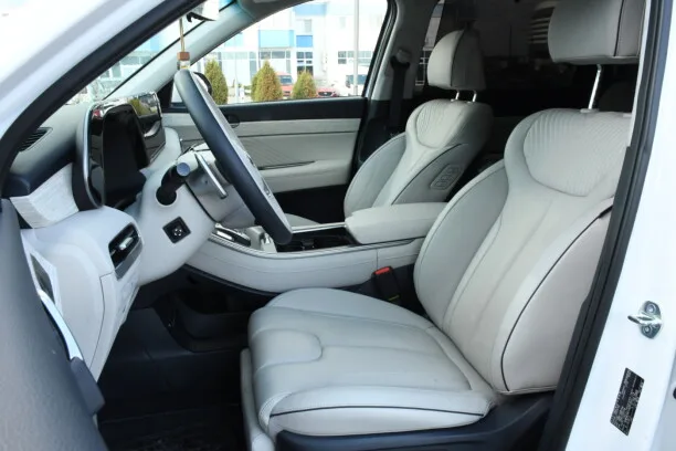 Hyundai Palisade 2023 — миниатюра 3