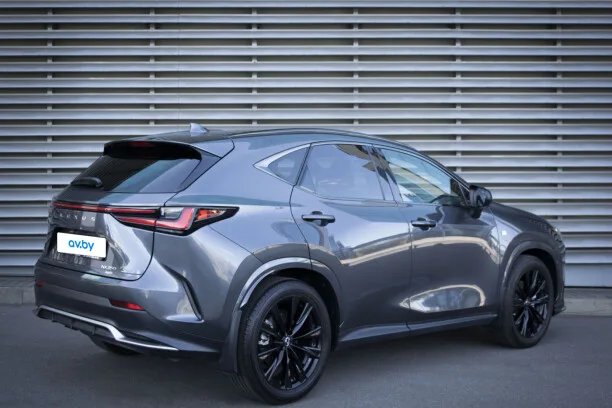 Lexus NX 2022 — миниатюра 2