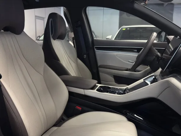 BYD Song PLUS EV 2025 — миниатюра 5