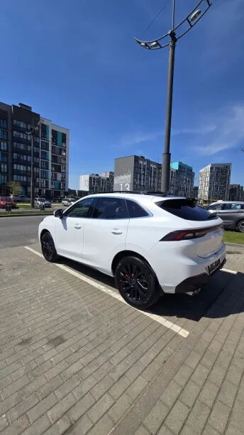 Dongfeng Forthing T5 EVO 2022 — миниатюра 2