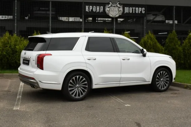 Hyundai Palisade 2023 — миниатюра 4