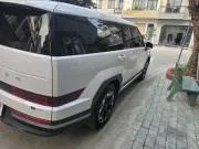 Hyundai SantaFe 2025 buy in Moscow