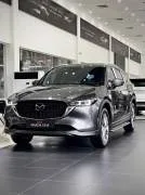 Mazda CX8 Premium 2.5 AT - 2026 — фото 1, купить с доставкой в Москву