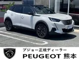 Peugeot SUV 2024 buy in Moscow