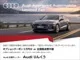 Audi SQ5 3.0 2022 — миниатюра 2