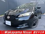 Nissan Leaf 2024 buy in Moscow
