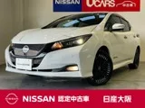 Nissan Leaf e+ G 2023 — фото 1, купить с доставкой в Москву