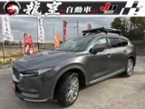 Mazda CX-8 2.2 2022 — фото 1, купить с доставкой в Москву