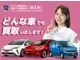 Suzuki Solio 1.2 MZ 4WD 1/ 2024 — миниатюра 2