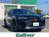 Lexus UX 250h C ///E 2022 — фото 1, купить с доставкой в Москву