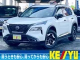 Nissan X-Trail 1.5 X e-4ORCE X 4WD 4W 2024 — фото 1, купить с доставкой в Москву