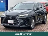 Lexus NX 250 L Bluet 2023 — фото 1, купить с доставкой в Москву