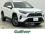 Toyota RAV4 2.5 G E-Four 4WD 10 2024 — фото 1, купить с доставкой в Москву